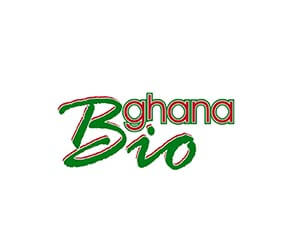 Bg logo